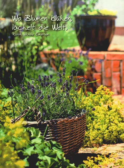 Lebensweisheiten Postkarte mit Blumenzitat Wo Blumen blühen lächelt die Welt Lavendel Garten Naturmotiv inspirierende Grußkarte