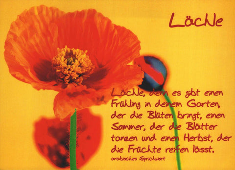 Lebensweisheiten Postkarte mit Mohnblume und arabischem Sprichwort Lächle bunte Blumen positive Botschaft für jede Gelegenheit