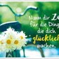 Lebensweisheiten Postkarte mit Spruch Nimm dir Zeit für die Dinge die dich glücklich machen Fahrrad und Blumen Motiv Inspiration