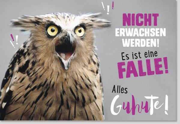 Lustige Geburtstagskarte für Erwachsene – Originelle Eule mit Spruch, Humorvolles Design in Braun für Freunde & Spaßvögel