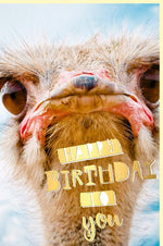 Lustige Geburtstagskarte mit Goldfolie - Humorvoller Strauß für unvergessliche Glückwünsche und Partystimmung