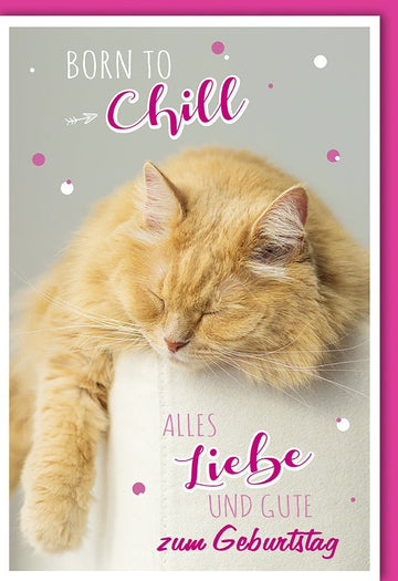 Lustige Geburtstagskarte mit Katzenmotiv – Humorvolle Grüße für entspannte Geburtstagsmomente!