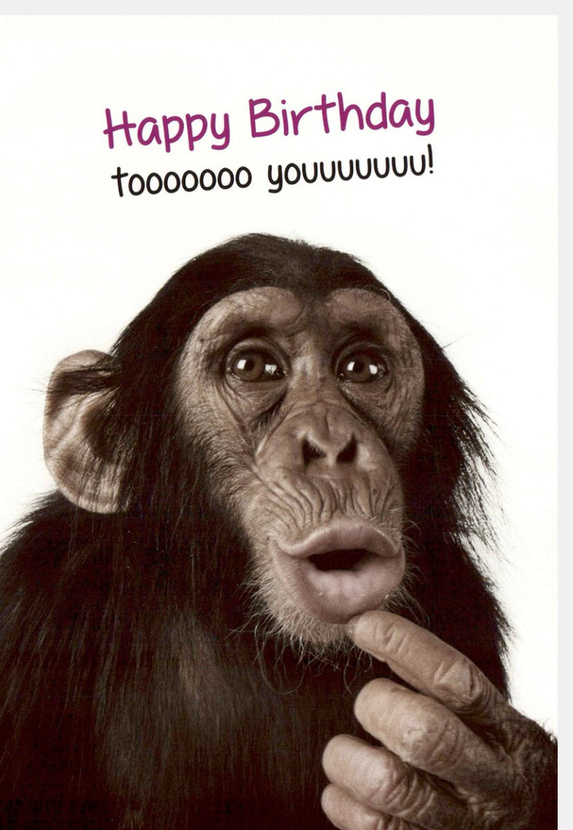 Lustige Geburtstagskarte mit Schimpanse - Happy Birthday Tiermotiv, Witzige Überraschungskarte für Spaß & Freude, Cartoon Illustration