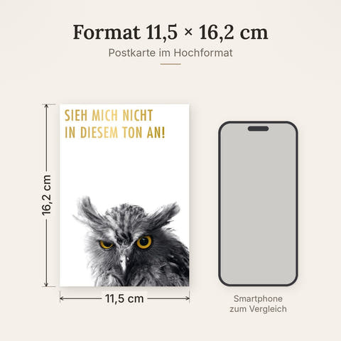 Lustige Postkarte Eule mit Spruch Sieh mich nicht in diesem Ton an witzige Grußkarte Tiermotiv originell für Freunde und Kollegen