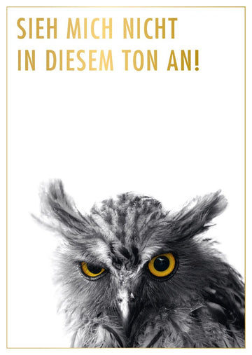 Lustige Postkarte Eule mit Spruch Sieh mich nicht in diesem Ton an witzige Grußkarte Tiermotiv originell für Freunde und Kollegen