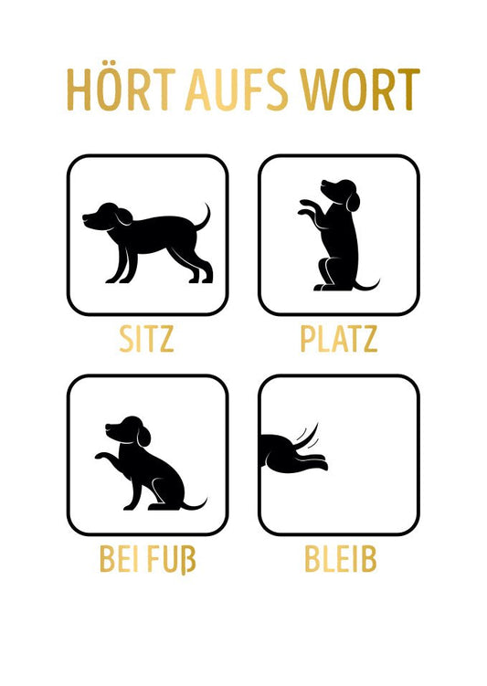 Lustige Postkarte Hund hört aufs Wort witziges Hunde - Motiv Sitz Platz Bleib Bei Fuß originelle Grußkarte für Hundefreunde