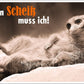 Lustige Postkarte mit frechem Spruch: 'Nen Scheiß muss ich! Perfekt für humorvolle Grüße und heitere Anlässe.