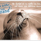 Lustige Postkarte zur Entspannung - Seehund am Strand in Sepia, Witzige Meerestier - Fotografie