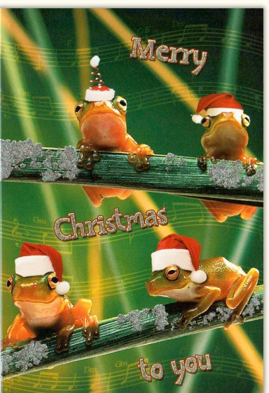 Lustige Weihnachtskarte mit Fröschen - Humorvolle Grüße mit quakenden Fröschen in Santa - Hüten für tierisch frohe Weihnachten
