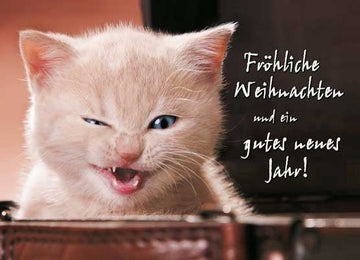Lustige Weihnachtspostkarte mit weißer Katze - Fröhliche Grüße zu Weihnachten