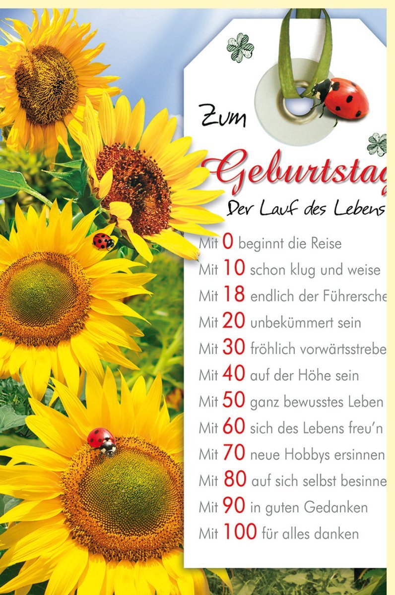 Maxi Geburtstagskarte A4 - Fröhliches Sonnenblumen & Marienkäfer Design, XXL Natur Blumen Karte für Jeden Lebensabschnitt
