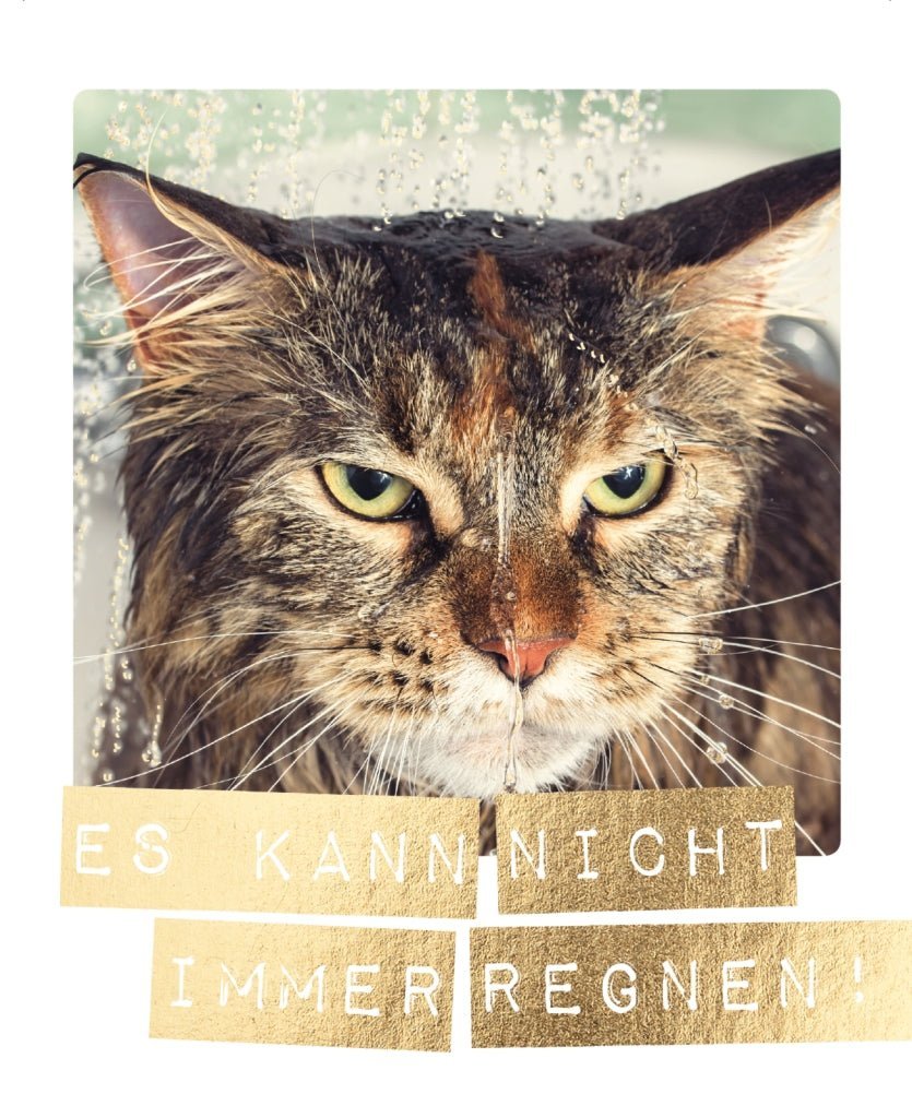 Motivationskarte mit Spruch: Nasse Katze - "Es kann nicht immer regnen"