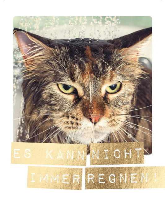 Motivationskarte mit Spruch: Nasse Katze - "Es kann nicht immer regnen"