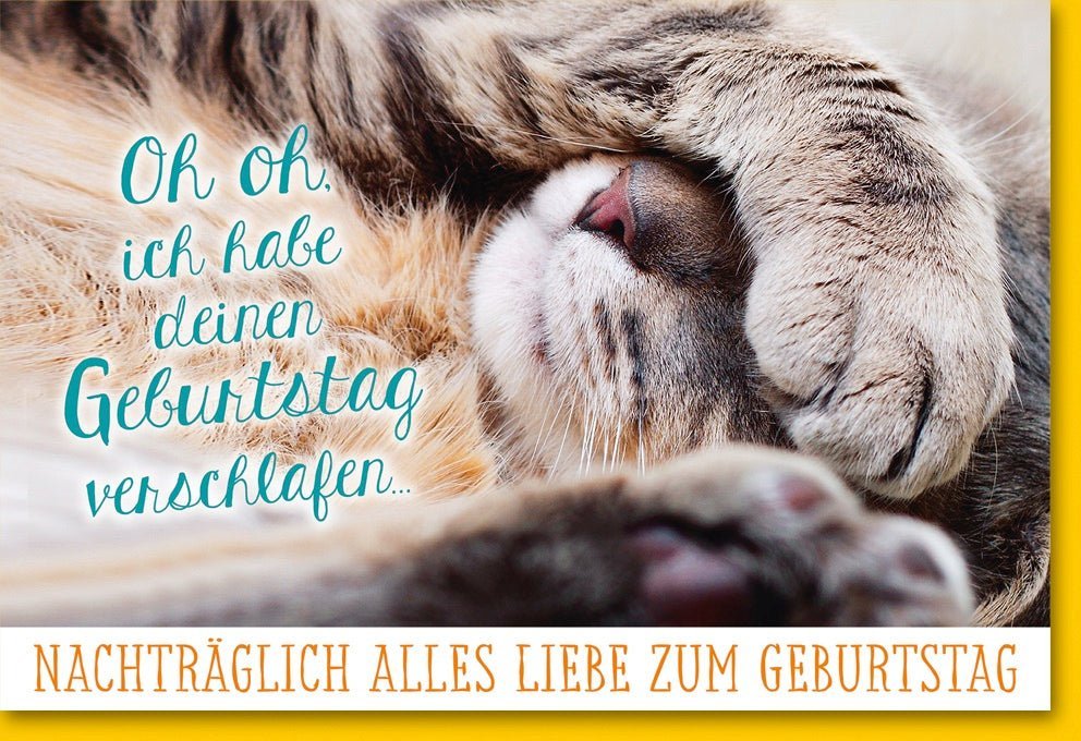 Nachträgliche Geburtstagskarte - Humorvolle Grüße mit verschlafener Katze, Alles Liebe verspätet