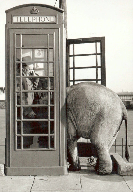 Nostalgische Schwarzweiß - Postkarte mit Elefant & Telefonzelle, Vintage Deko - Geschenk, Humorvolle Sammelkarte für Sammler & Einrichtung - Postkarten - Schwarz - Weiss
