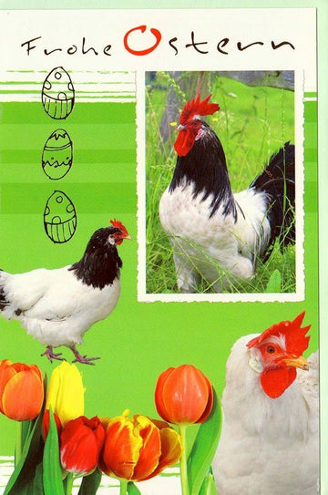 Ostergrußkarte: Fröhliche Hühner für ein frohes Osterfest