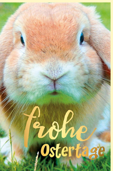 Osterkarte mit Goldfolie - Elegante Frühlingsgrußkarte Hase, Traditionelles Osternest für Familie & Freunde