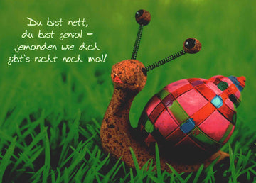 Postkarte Freundschaft bunte Schnecke mit Spruch Du bist genial originelle Grußkarte für beste Freunde Wertschätzung einzigartig