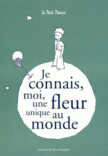 Postkarte Geburtstag für Kinder Der kleine Prinz mit Zitat Je connais moi une fleur einzigartige Postkarte liebevoll illustriert für besondere Glückwünsche