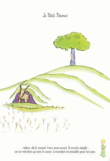 Postkarte Geburtstag Kinder Le Petit Prince Fuchs Zitat Baum Wiese liebevoll illustriert besondere Postkarte für Jungen und Mädchen