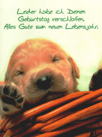 Postkarte Geburtstag nachträglich mit süßem Hundemotiv und Spruch Alles Gute zum Geburtstag verspätete Grüße Postkarte