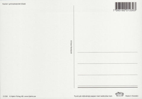 Postkarte Kinder Pettersson und Findus Im Garten