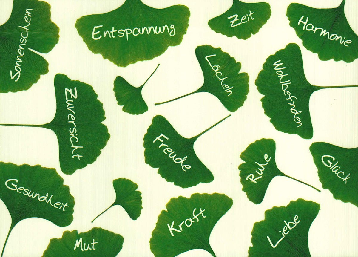 Postkarte Lebensweisheiten mit Ginkgo - Blättern und inspirierenden Worten wie Freude Kraft Liebe Zuversicht Glück Harmonie Entspannung