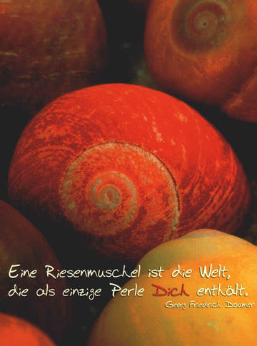 Postkarte Liebe Muschelmotiv mit Zitat von Georg Friedrich Daumer romantisch für besondere Menschen hochwertige Grußkarte zum Verschenken