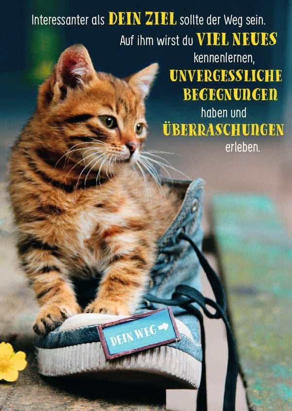 Postkarte mit Lebensweisheit: Der Weg ist spannender als das Ziel - Inspirierende Tierpostkarte