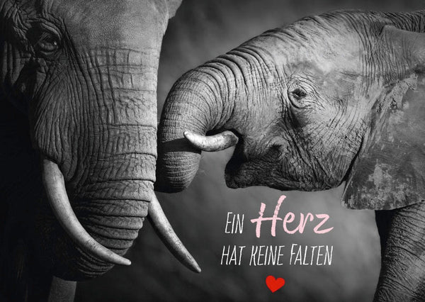 Postkarte mit Lebensweisheit: Ein Herz bleibt zeitlos schön