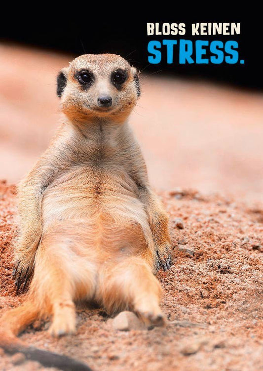 Postkarte mit Spruch: Bloß keinen Stress – Entspannt durch den Alltag mit unserer charmanten Karte aus der Kategorie Postkarten - Sprüche.