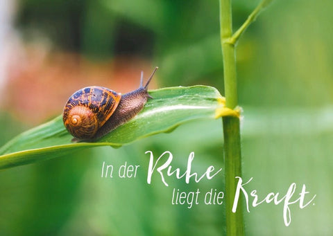 Postkarte mit Spruch: Kraft der Ruhe entdecken