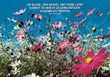 Postkarte mit Spruch – Thich Nhat Hanh Zitat, Blumen & Himmel, Natur & Achtsamkeit