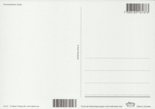 Postkarte Pettersson und Findus Im Garten