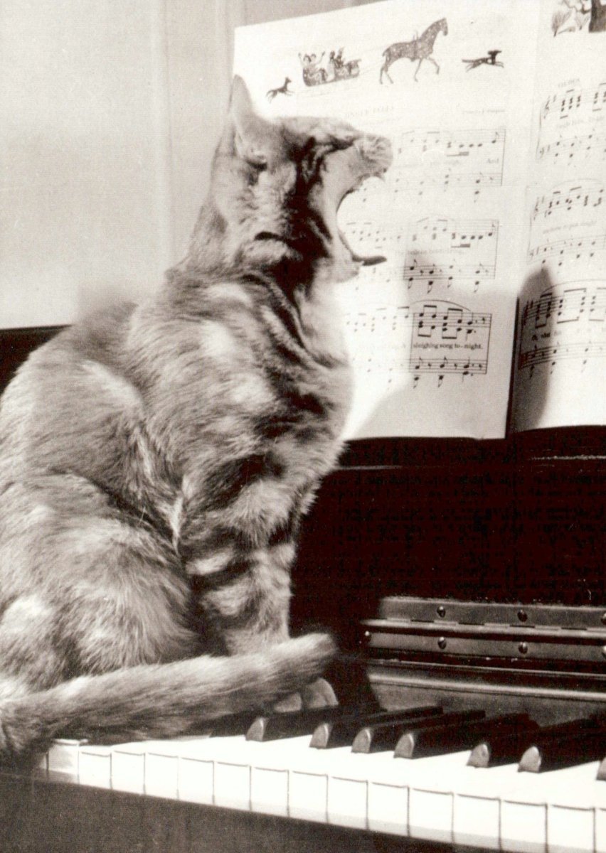 Postkarte Schwarz - Weiß Katze am Klavier – Humorvolle Fotografie für Musik - und Tierliebhaber, Vintage Retro Dekor & Sammlerstück