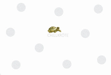 Postkarte Sprüche: Cityproducts Chillkröte – Lustiger Gruß für jede Gelegenheit