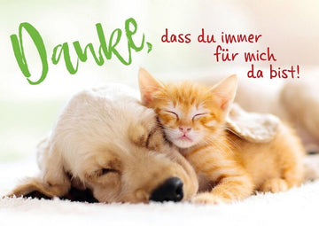 Postkarte Sprüche: Dankeschön für deine beständige Unterstützung und Freundschaft