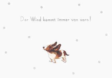 Postkarte Sprüche: Der Wind kommt immer von vorn! - Lustige Bassett - Karte