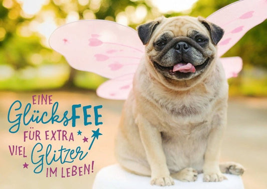Postkarte Sprüche: Eine Prise Feenglanz für mehr Glitzer im Alltag