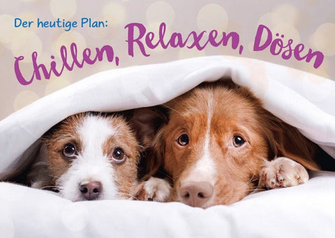 Postkarte Sprüche: Entspannungsplan – Chillen, Relaxen, Dösen für den perfekten Ruhetag