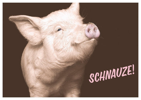 Postkarte Sprüche: Humorvoller Gruß "Schnauze" für jede Gelegenheit