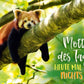 Postkarte Sprüche: Motto des Tages - Heute mal nichts tun, entspannen und genießen