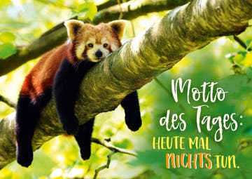 Postkarte Sprüche: Motto des Tages - Heute mal nichts tun, entspannen und genießen