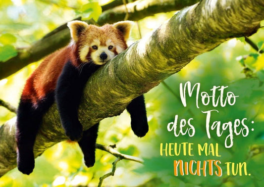 Postkarte Sprüche: Motto des Tages - Heute mal nichts tun, entspannen und genießen