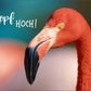 Postkarte zur Ermutigung - Flamingo mit "Kopf hoch" Spruch, Rosa Naturfotografie, Farbenfrohe Tierpostkarten