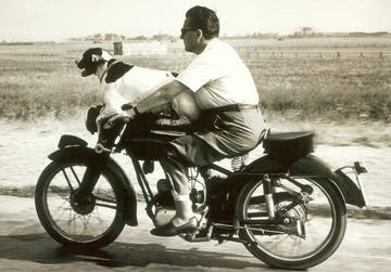 Reiseabenteuer Postkarte: Vintage Motorrad & Hund - Schwarz - Weiß Kunst für Sammler und Deko - Fans, Einzigartiges Geschenk