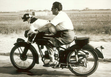 Reiseabenteuer Postkarte: Vintage Motorrad & Hund - Schwarz - Weiß Kunst für Sammler und Deko - Fans, Einzigartiges Geschenk