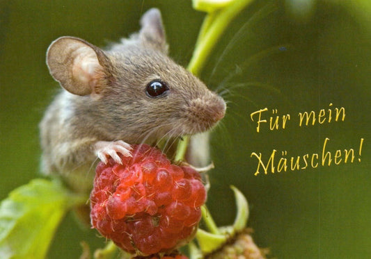 Romantische Liebesgrußkarte "Herzliche Maus & Himbeere" - Zärtliches Geschenk für Valentinstag & Jubiläum