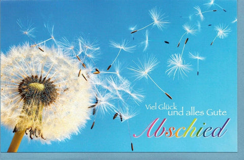 Ruhestand Abschiedskarte - Glimmer Pusteblume, Wünsche zur Verabschiedung für Kollegen und Freunde