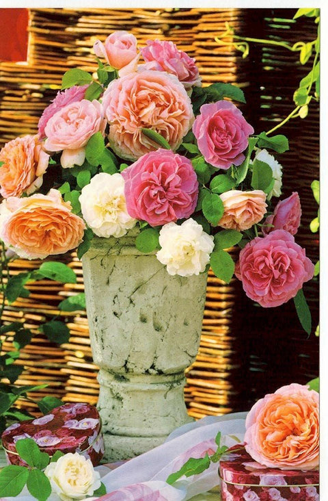 Sommerliche Blankokarte mit Rosenmotiv – Perfekt für persönliche Grüße